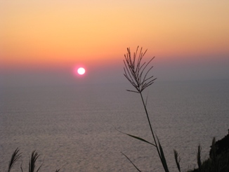 c0076416_23314652.jpg