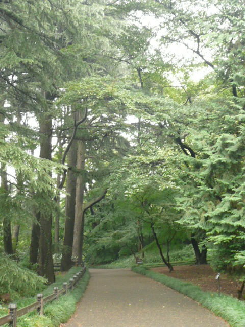 f0178427_21524588.jpg