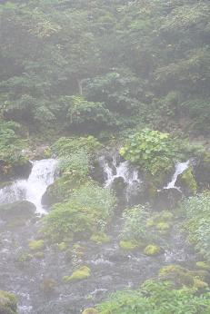 b0085331_1564211.jpg