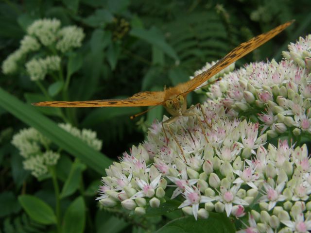 e0145033_22233171.jpg