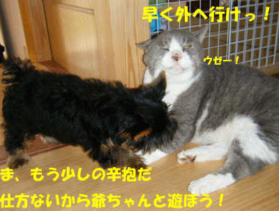 f0008935_1535277.gif