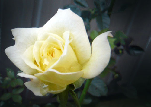 c0131544_16204445.jpg