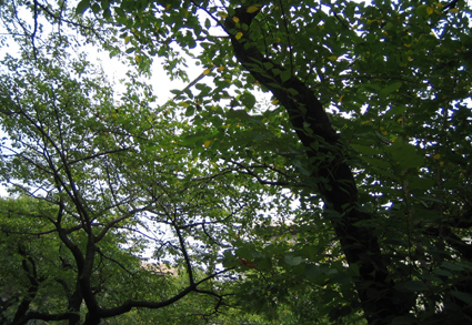 c0161046_18161663.jpg