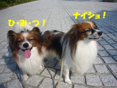 e0100046_20531080.jpg