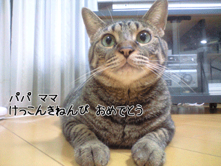 f0116546_1328130.gif