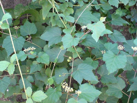e0034047_23461511.jpg