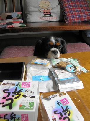 c0145250_11501569.jpg