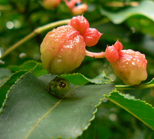 d0091754_0494973.jpg