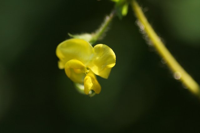 f0044056_1640585.jpg
