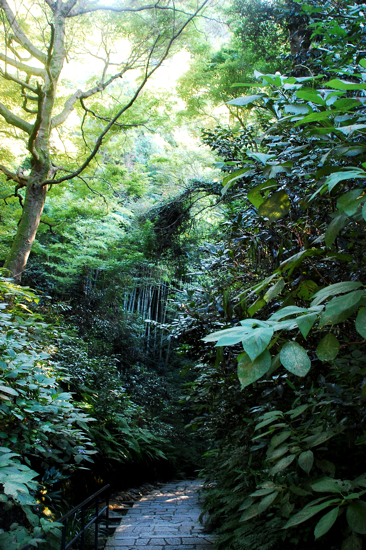 f0176458_103081.jpg