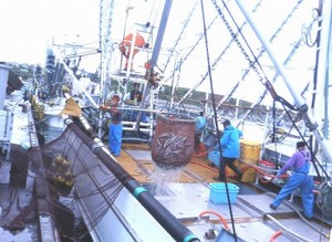 d0083265_2164873.jpg