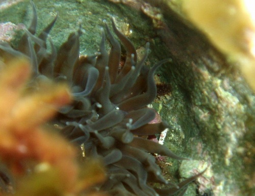 b0050067_095478.jpg