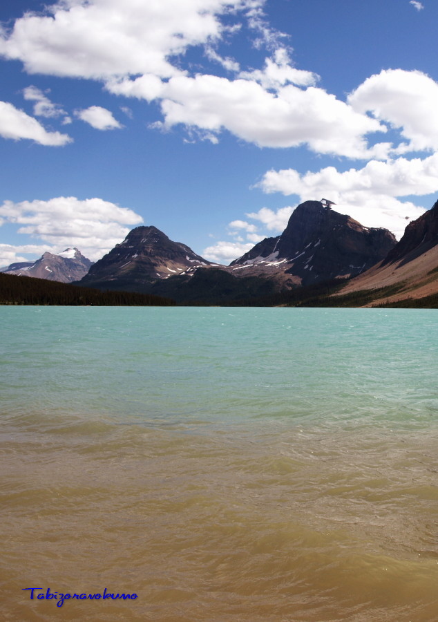 f0182571_14413852.jpg
