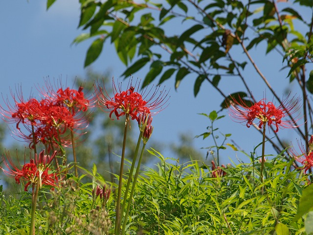 b0135573_22102259.jpg