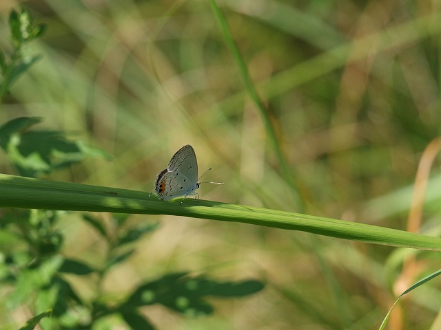 b0135573_22134127.jpg