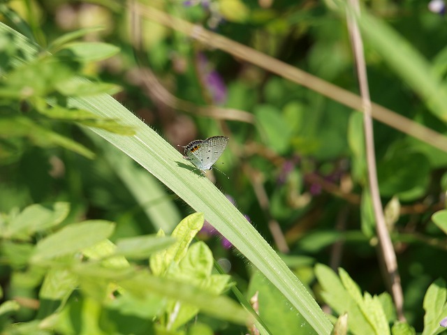 b0135573_22141855.jpg