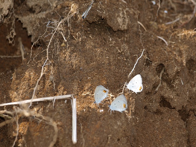 b0135573_22151667.jpg