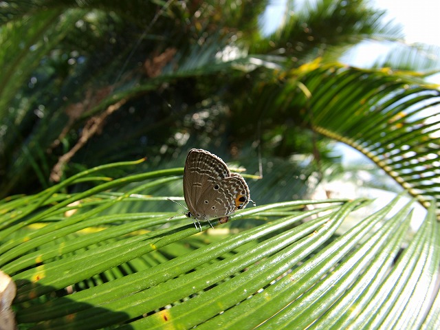 b0135573_2216256.jpg