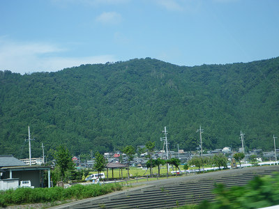 c0002874_7141494.jpg