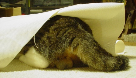 c0102374_0492421.jpg