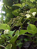 f0140174_18142953.jpg