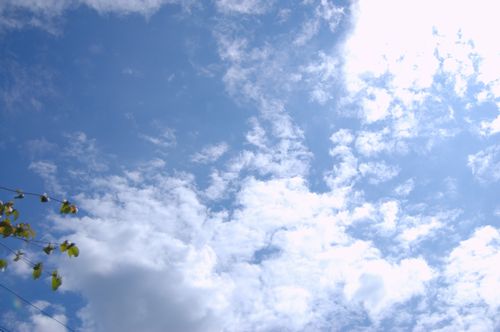 f0141475_1002921.jpg
