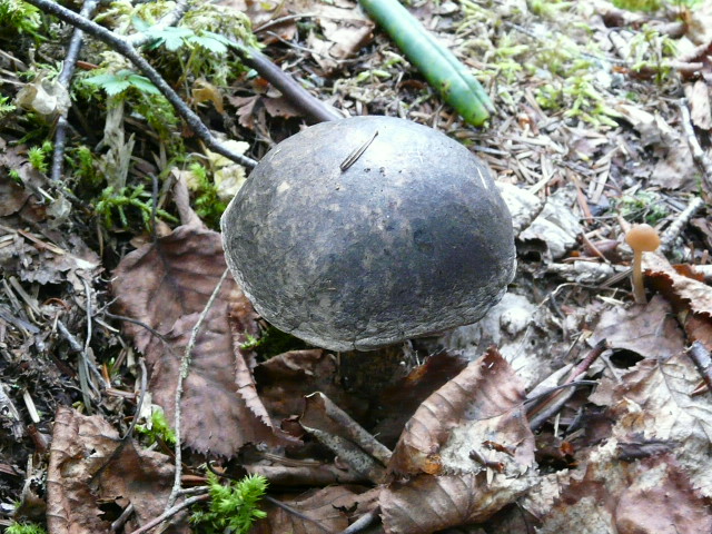 e0145782_9102040.jpg