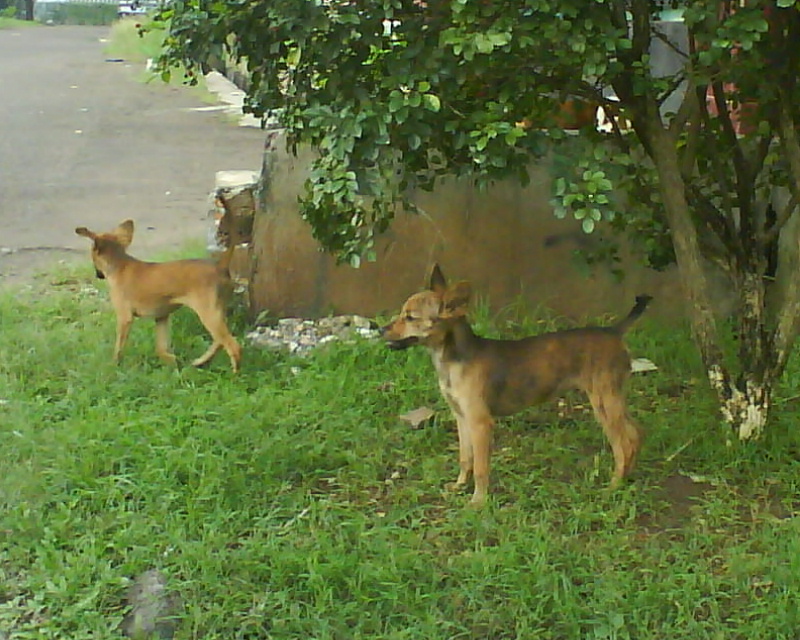 c0175883_2328083.jpg
