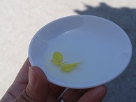 c0105785_15143654.jpg