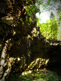 c0130986_5512251.jpg