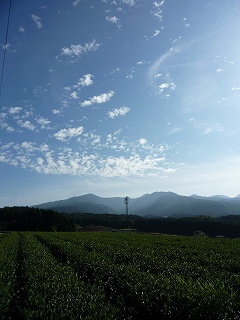 c0160488_18191936.jpg