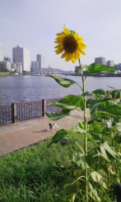 c0106491_742275.jpg