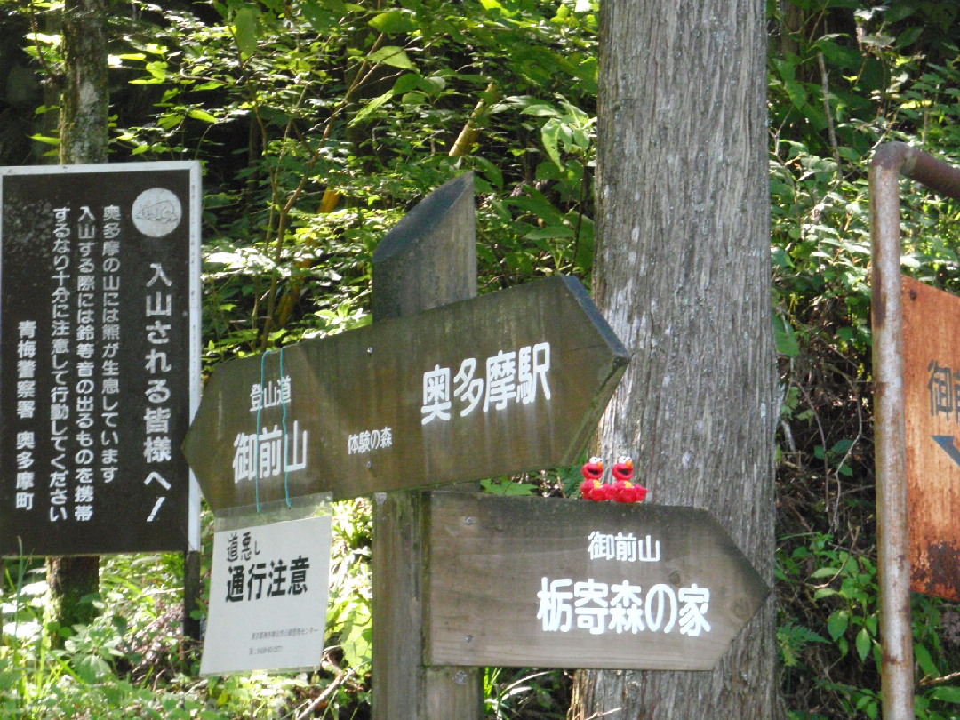 d0034291_22474986.jpg