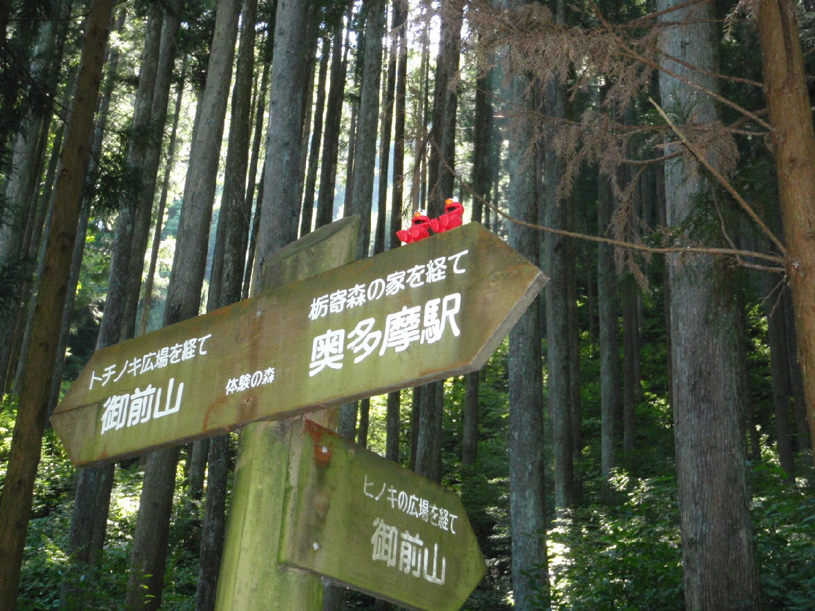 d0034291_22483787.jpg