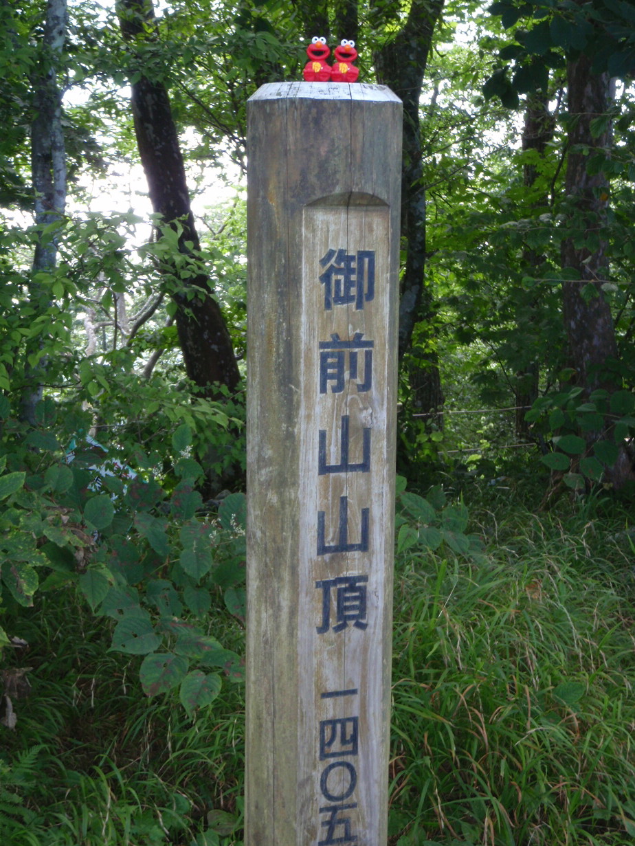 d0034291_2252810.jpg