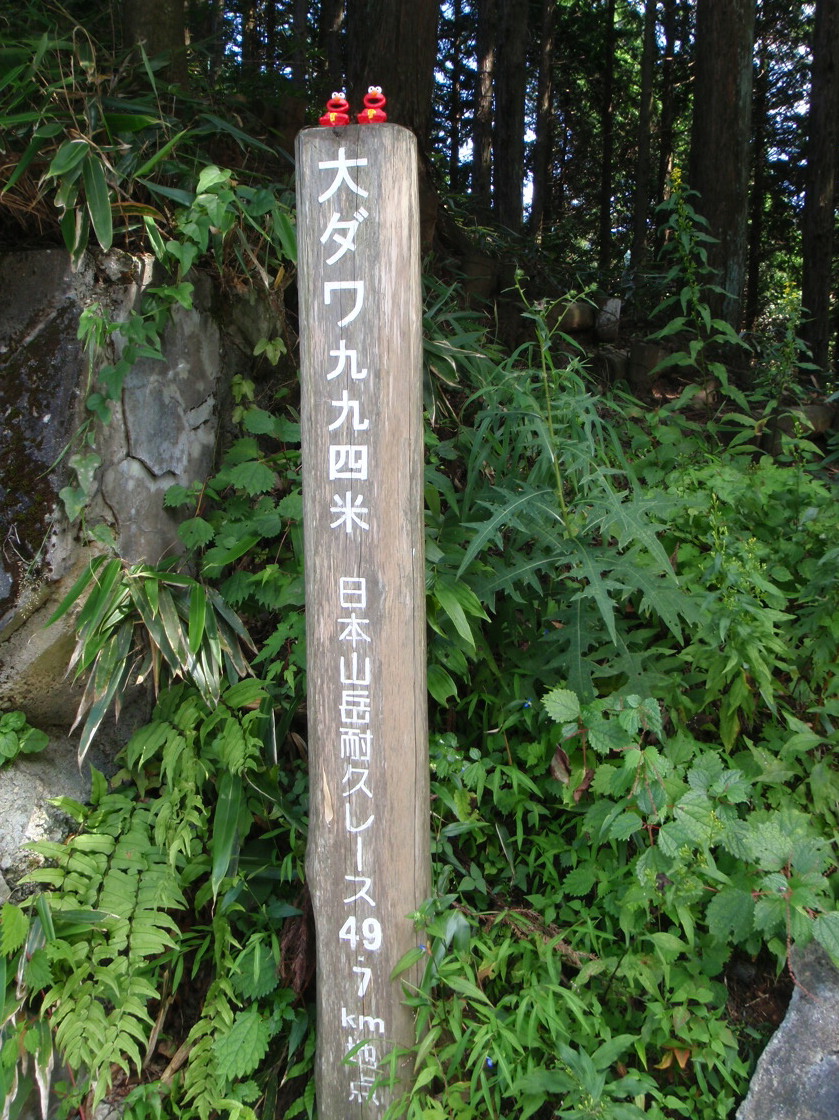 d0034291_2253942.jpg