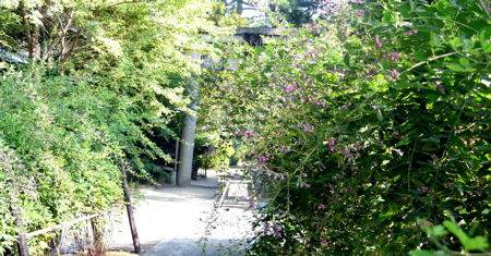 a0079292_1449263.jpg