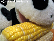 e0015195_2145553.jpg