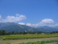 e0049598_20511337.jpg