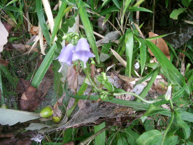 e0025300_17305586.jpg