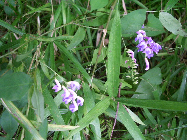 e0025300_17342970.jpg