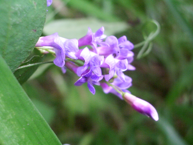 e0025300_17392872.jpg