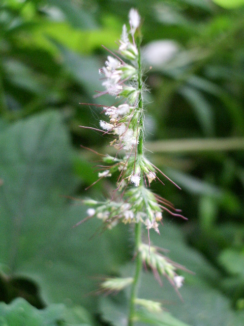 e0025300_17434046.jpg