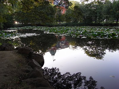 f0157901_17495478.jpg