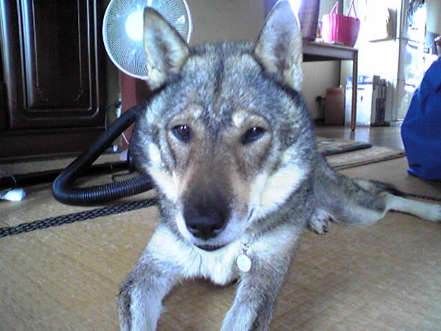 f0079202_15521461.jpg