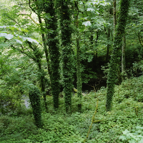 b0088205_10423633.jpg