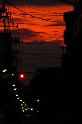 f0056516_054135.jpg