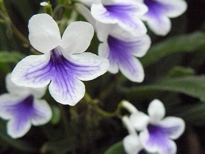 f0004019_2130157.jpg
