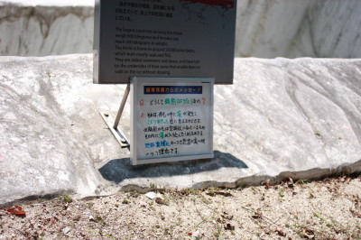 f0097620_23383497.jpg