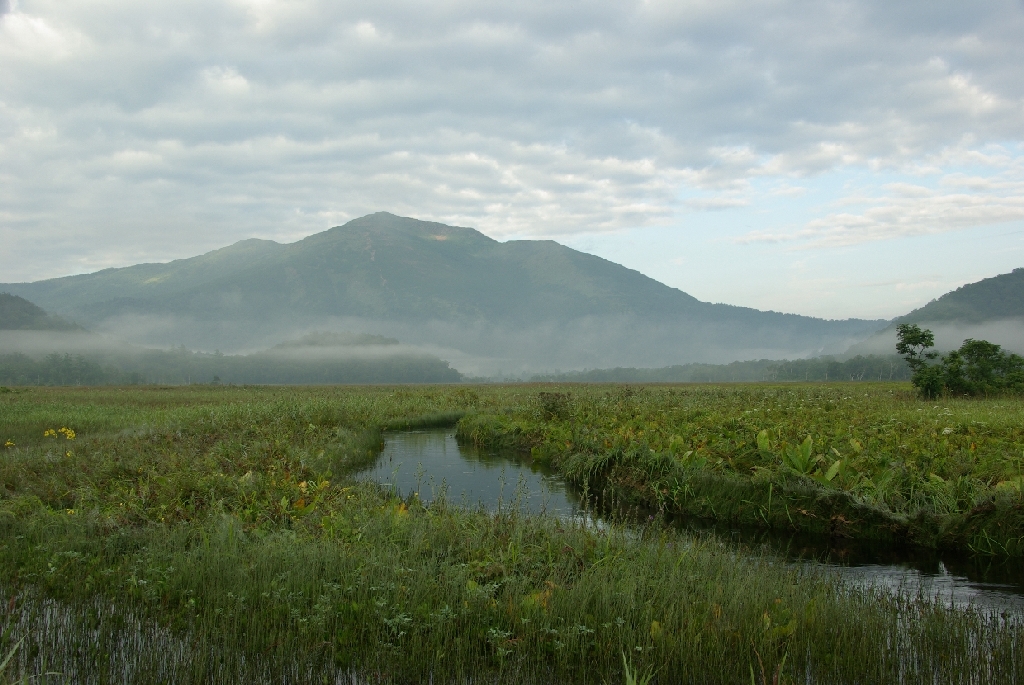 b0062024_710524.jpg